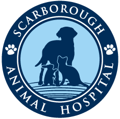 Scarborough Animal Hospital