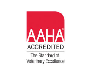 Home | Scarborough Animal Hospital Home | Scarborough Animal Hospital