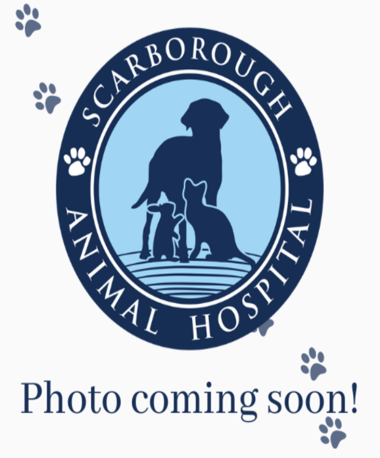 shannon-m-scarborough-animal-hospital